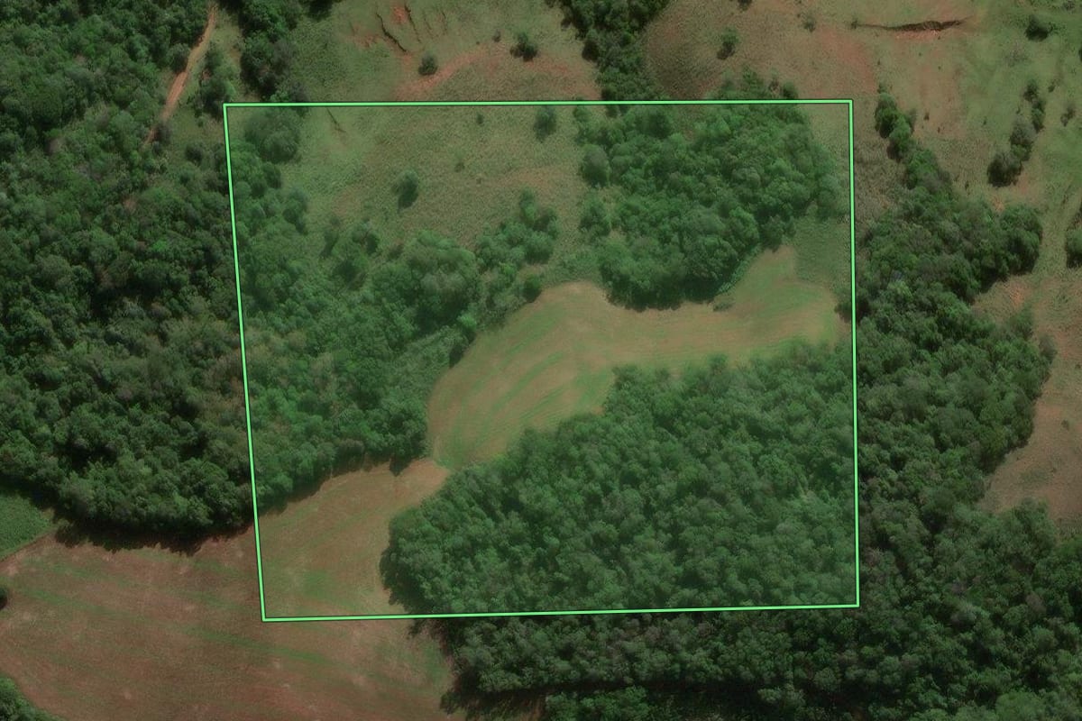 Imagem de satélite do imóvel rural em São Pedro do Sul (RS), com o contorno declarado no CAR desenhado por cima.