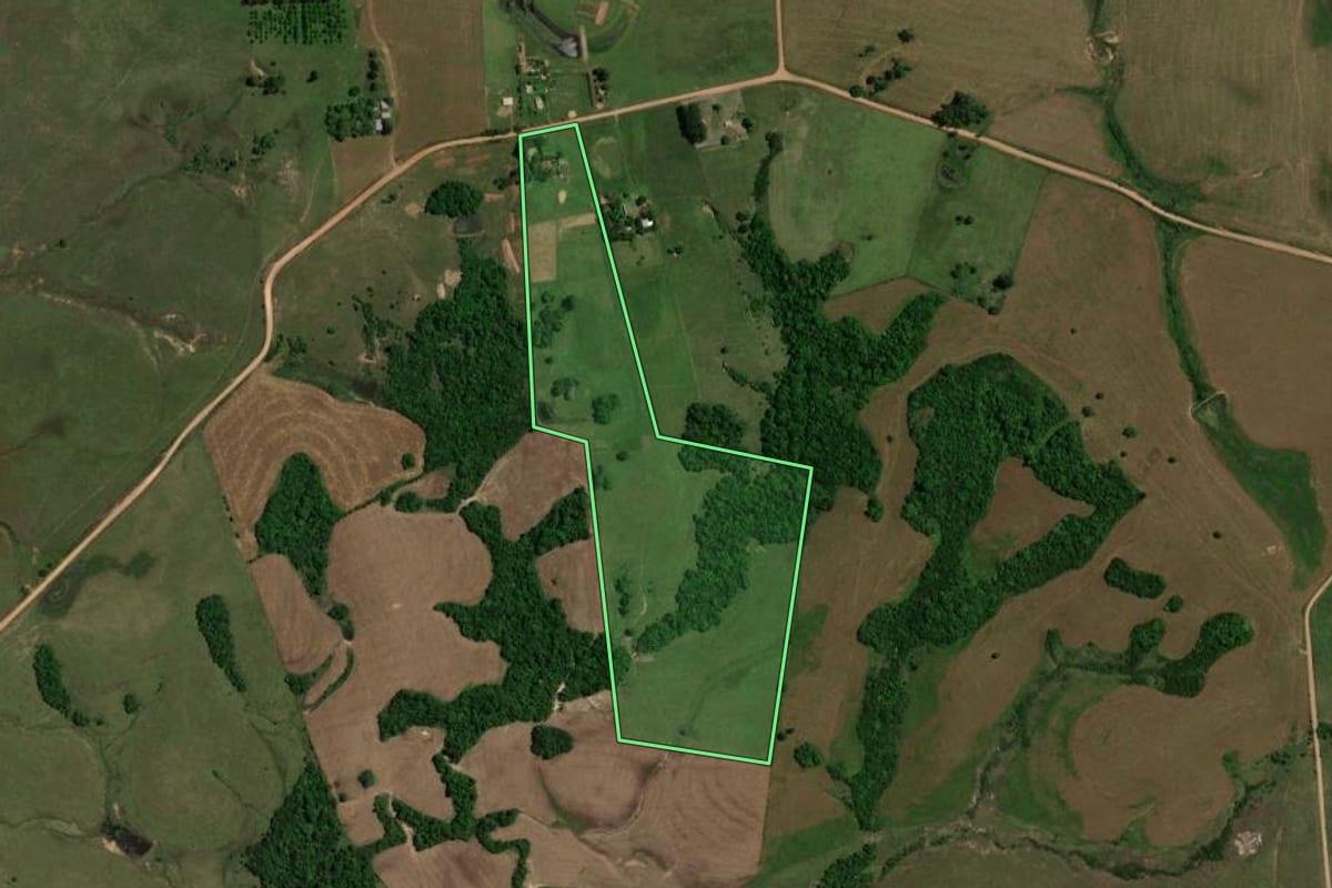Imagem de satélite do imóvel rural em São Pedro do Sul (RS), com o contorno declarado no CAR desenhado por cima.