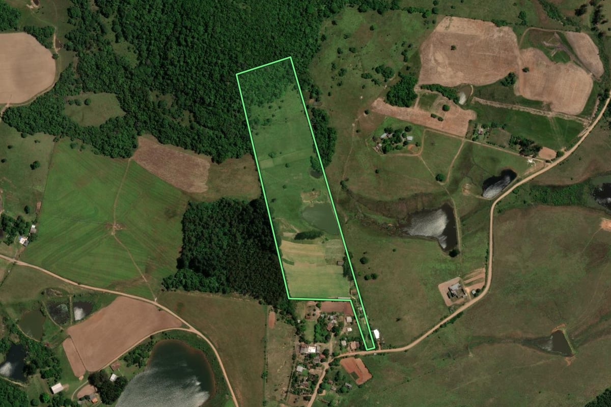 Imagem de satélite do imóvel rural em São Pedro do Sul (RS), com o contorno declarado no CAR desenhado por cima.