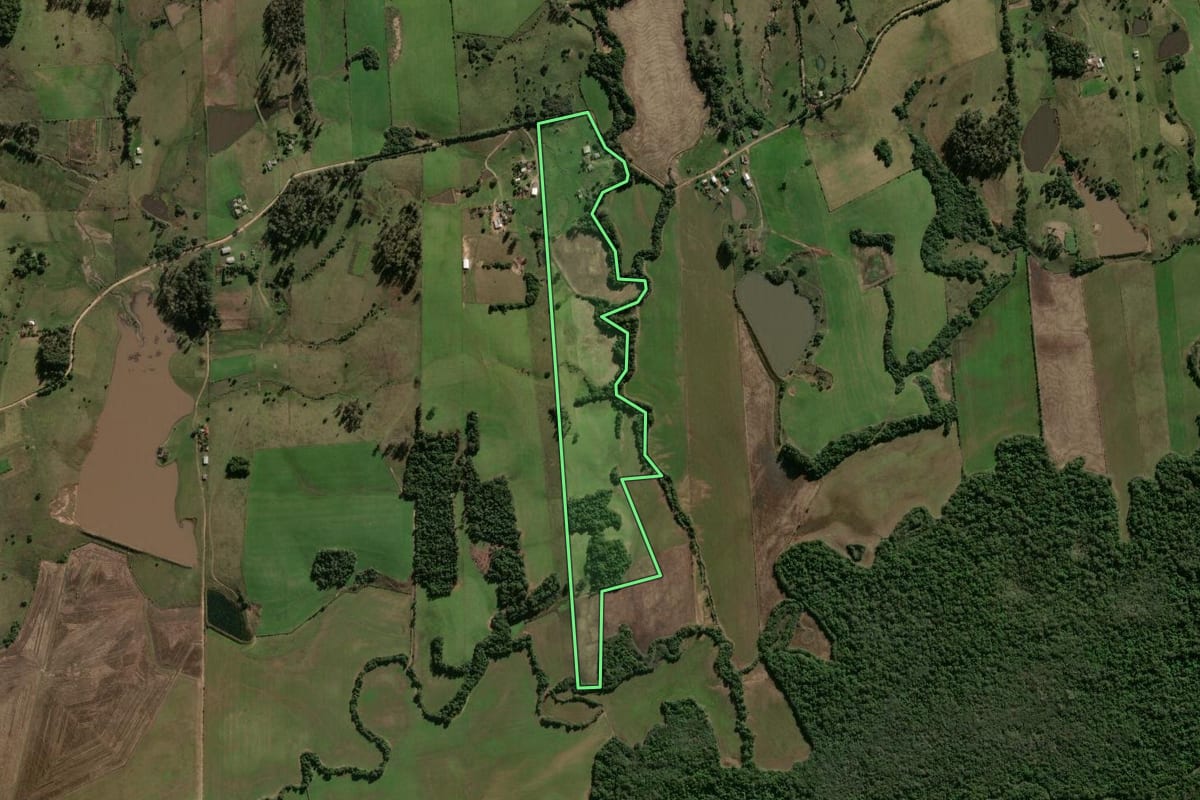 Imagem de satélite do imóvel rural em São Pedro do Sul (RS), com o contorno declarado no CAR desenhado por cima.