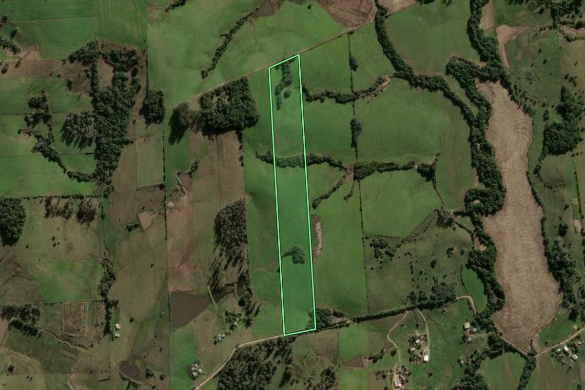Imagem de satélite do imóvel rural em São Pedro do Sul (RS), com o contorno declarado no CAR desenhado por cima.
