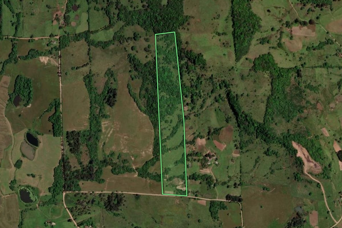 Imagem de satélite do imóvel rural em São Pedro do Sul (RS), com o contorno declarado no CAR desenhado por cima.