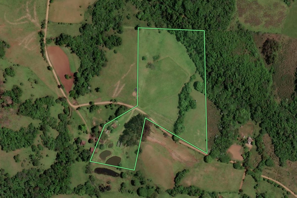 Imagem de satélite do imóvel rural em São Pedro do Sul (RS), com o contorno declarado no CAR desenhado por cima.