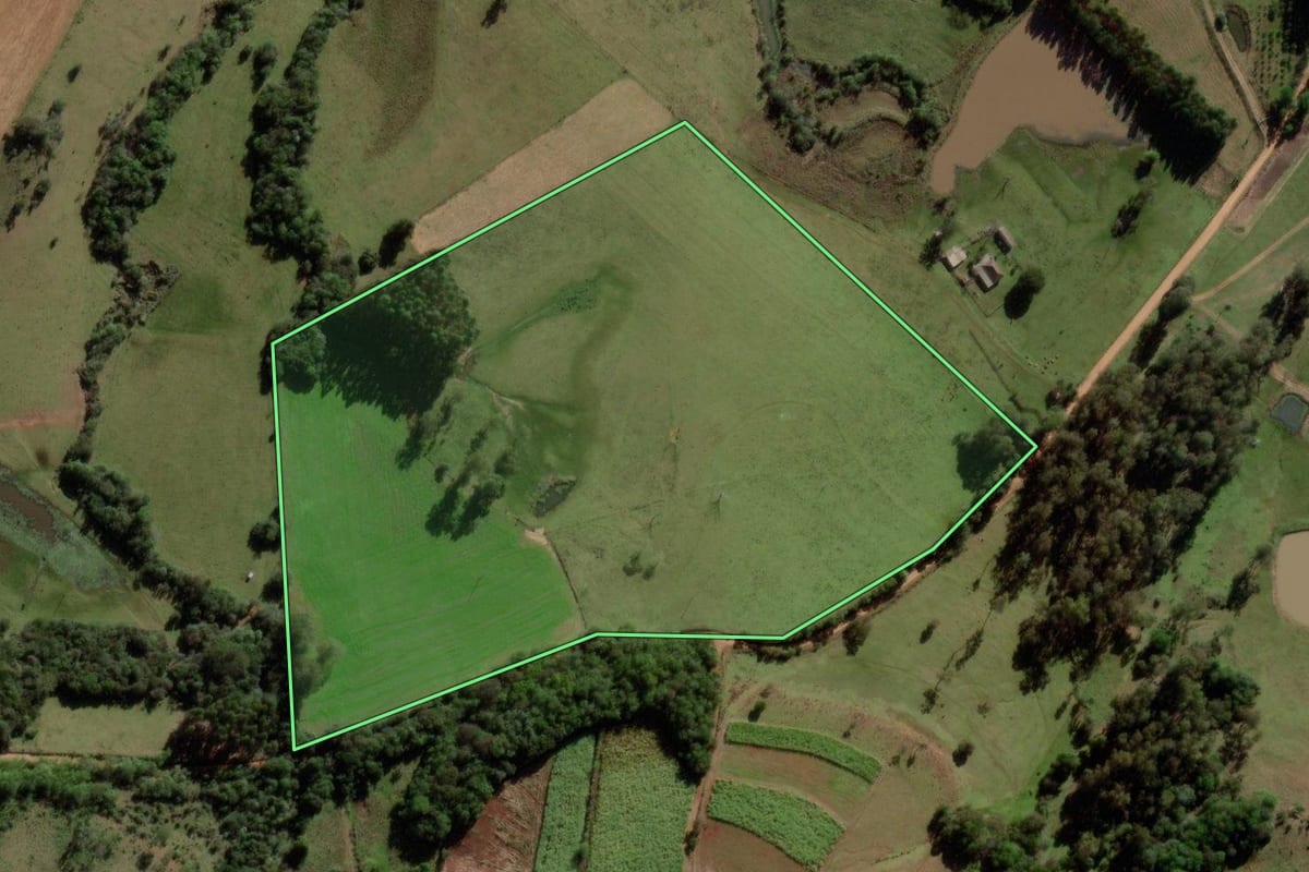 Imagem de satélite do imóvel rural em São Pedro do Sul (RS), com o contorno declarado no CAR desenhado por cima.