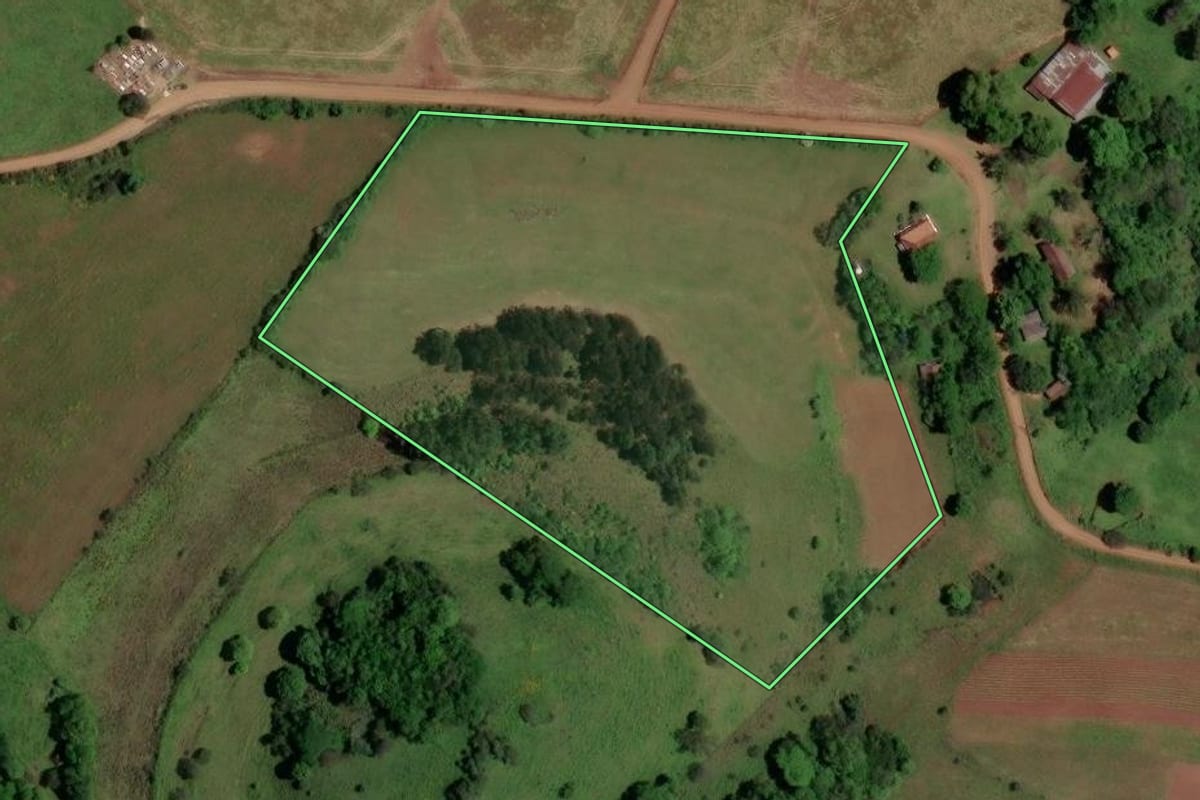 Imagem de satélite do imóvel rural em São Pedro do Sul (RS), com o contorno declarado no CAR desenhado por cima.
