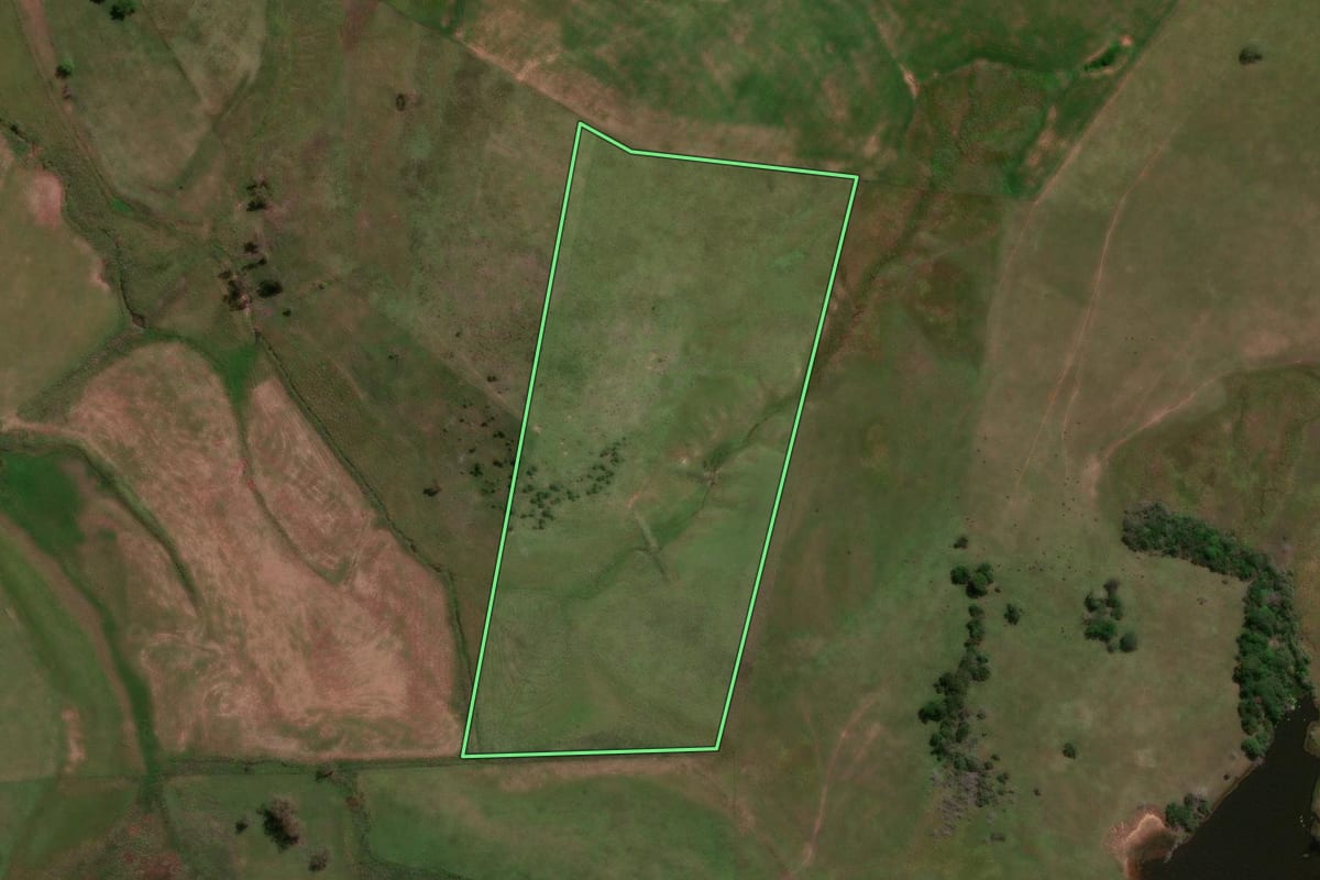 Imagem de satélite do imóvel rural em São Pedro do Sul (RS), com o contorno declarado no CAR desenhado por cima.