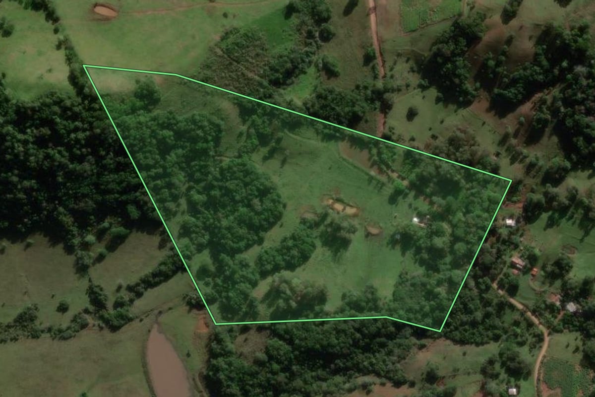 Imagem de satélite do imóvel rural em São Pedro do Sul (RS), com o contorno declarado no CAR desenhado por cima.