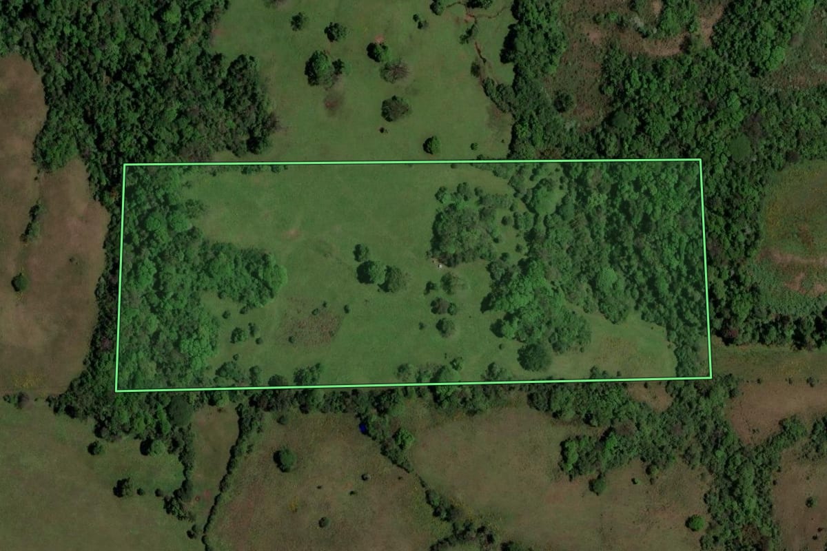 Imagem de satélite do imóvel rural em São Pedro do Sul (RS), com o contorno declarado no CAR desenhado por cima.