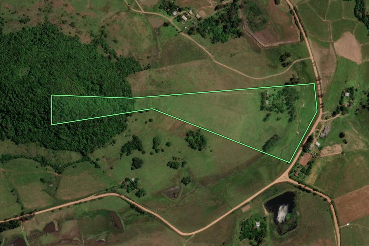 Imagem de satélite do imóvel rural em São Pedro do Sul (RS), com o contorno declarado no CAR desenhado por cima.