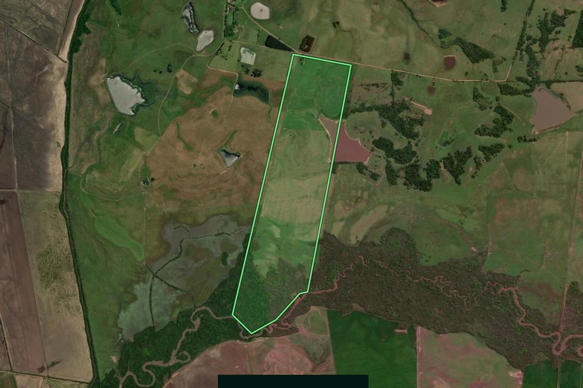 Imagem de satélite do imóvel rural em São Pedro do Sul (RS), com o contorno declarado no CAR desenhado por cima.