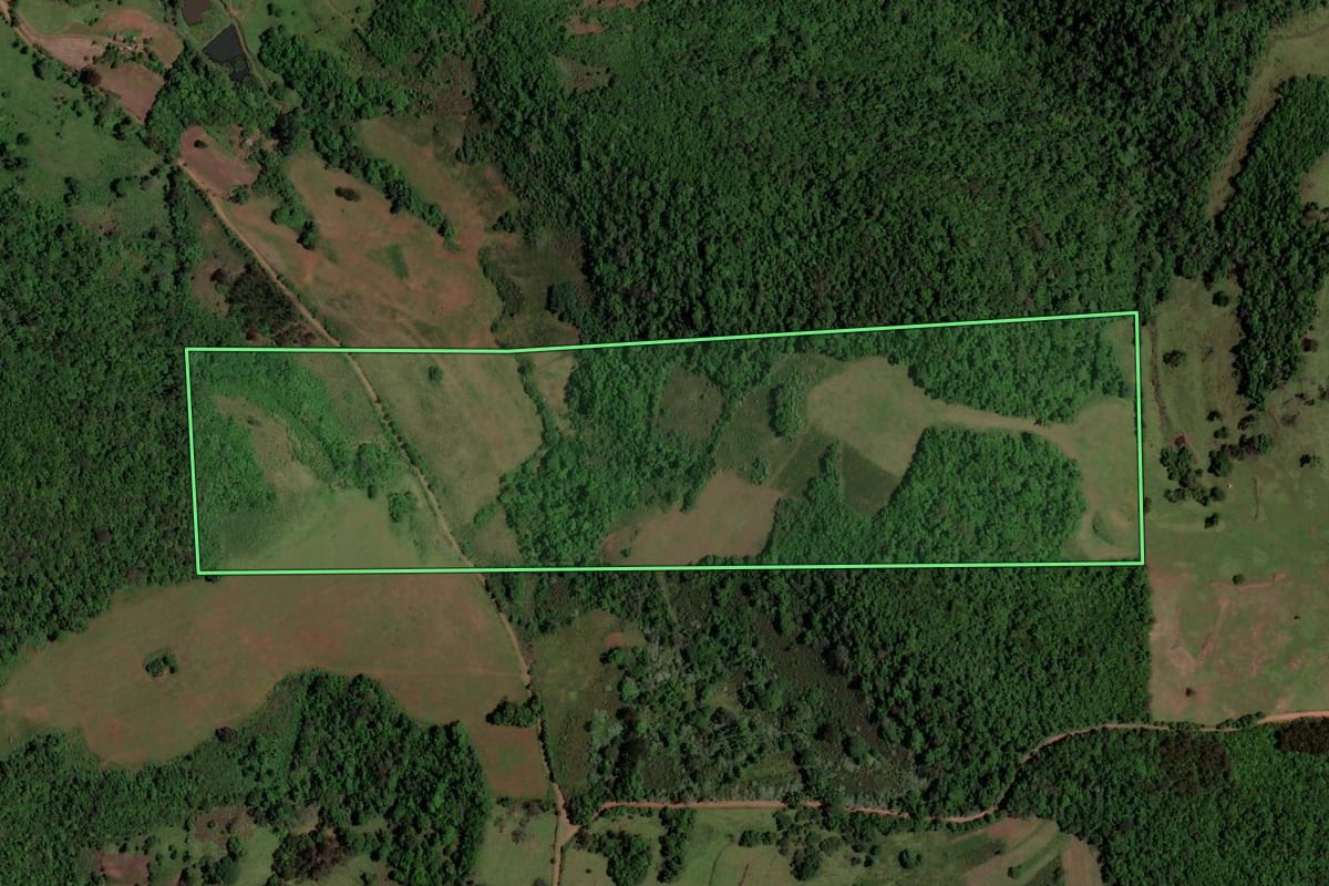 Imagem de satélite do imóvel rural em São Pedro do Sul (RS), com o contorno declarado no CAR desenhado por cima.