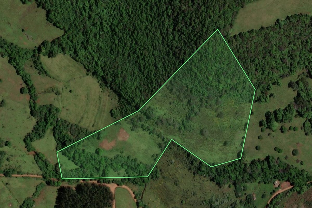 Imagem de satélite do imóvel rural em São Pedro do Sul (RS), com o contorno declarado no CAR desenhado por cima.