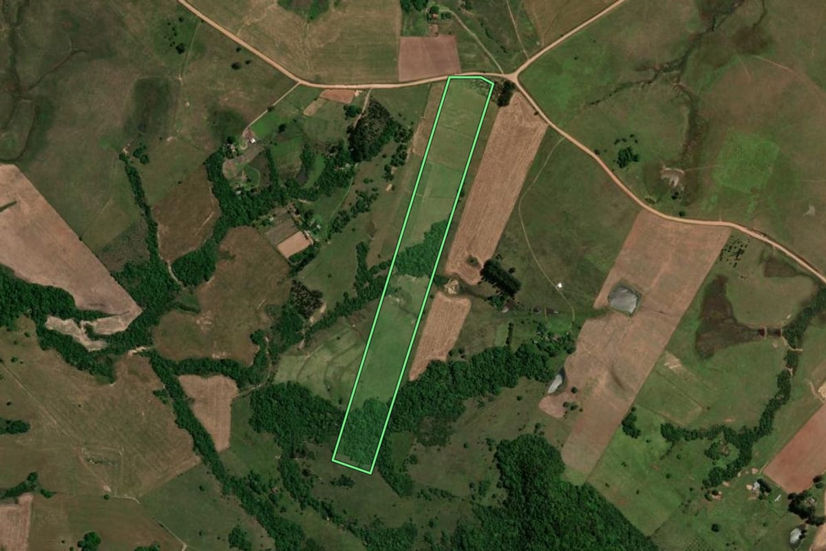 Imagem de satélite do imóvel rural em São Pedro do Sul (RS), com o contorno declarado no CAR desenhado por cima.