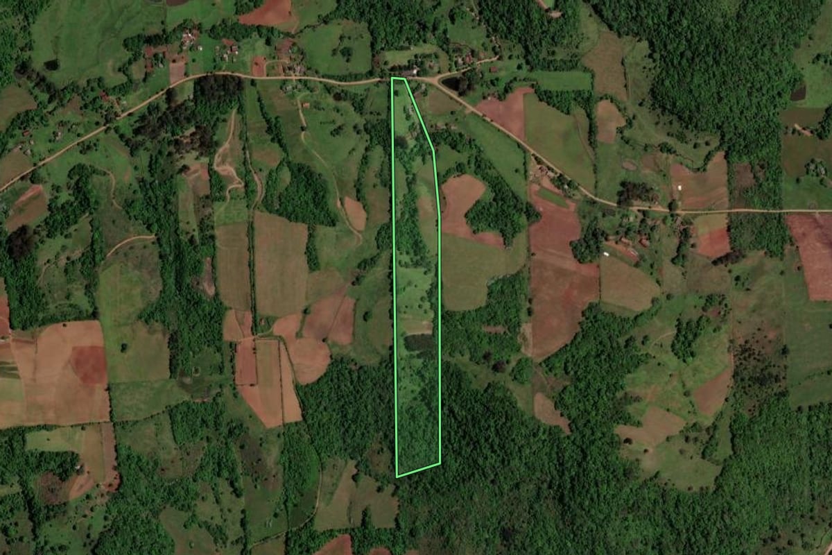 Imagem de satélite do imóvel rural em São Pedro do Sul (RS), com o contorno declarado no CAR desenhado por cima.