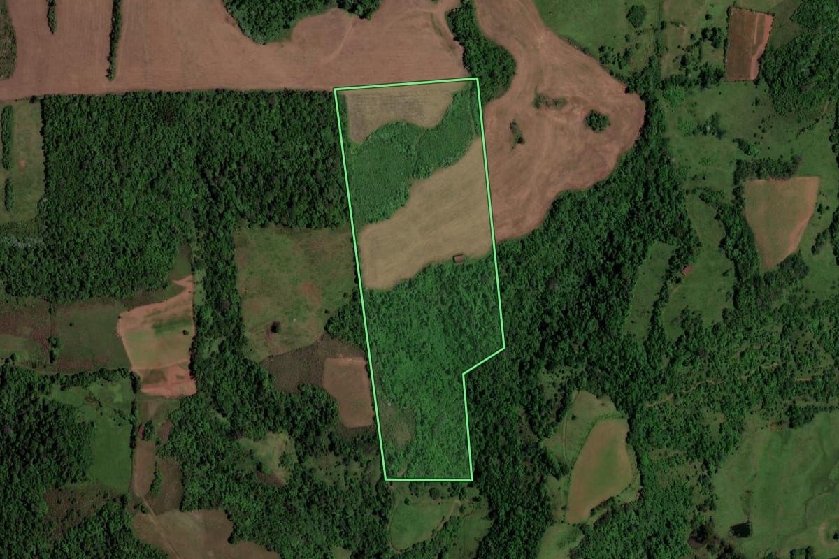 Imagem de satélite do imóvel rural em São Pedro do Sul (RS), com o contorno declarado no CAR desenhado por cima.