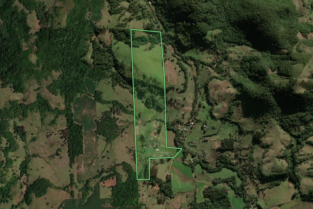 Imagem de satélite do imóvel rural em São Pedro do Sul (RS), com o contorno declarado no CAR desenhado por cima.