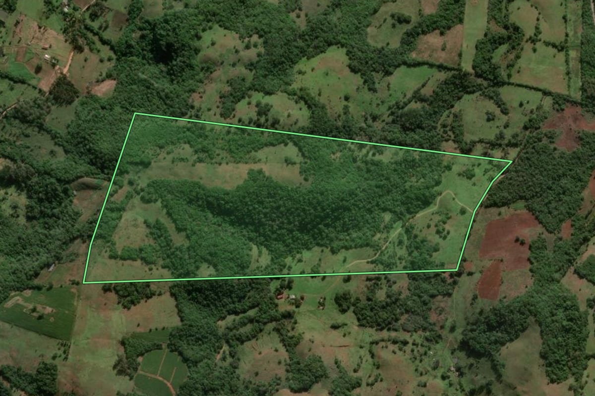 Imagem de satélite do imóvel rural em São Pedro do Sul (RS), com o contorno declarado no CAR desenhado por cima.