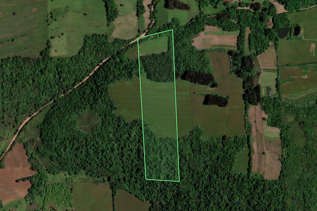 Imagem de satélite do imóvel rural em São Pedro do Sul (RS), com o contorno declarado no CAR desenhado por cima.
