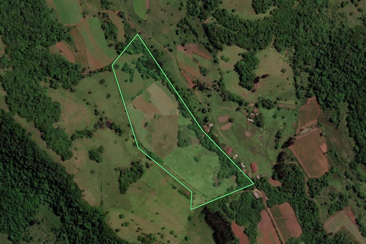 Imagem de satélite do imóvel rural em São Pedro do Sul (RS), com o contorno declarado no CAR desenhado por cima.