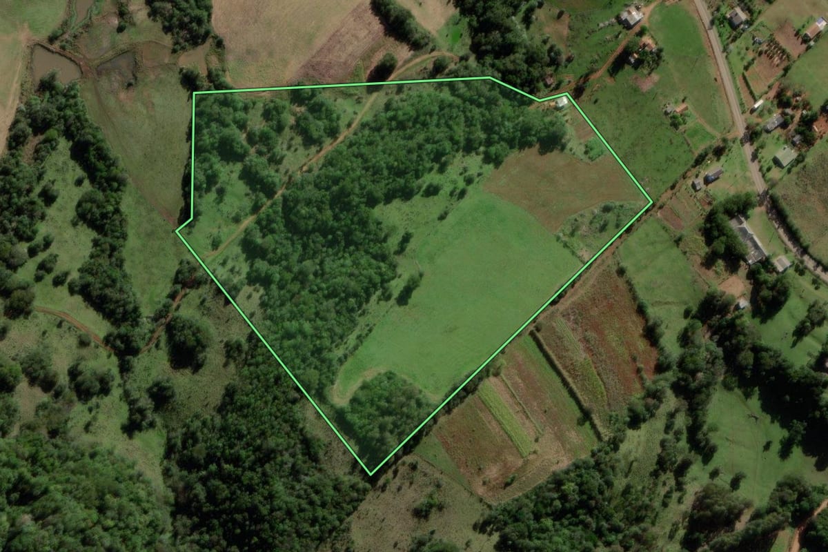 Imagem de satélite do imóvel rural em São Pedro do Sul (RS), com o contorno declarado no CAR desenhado por cima.