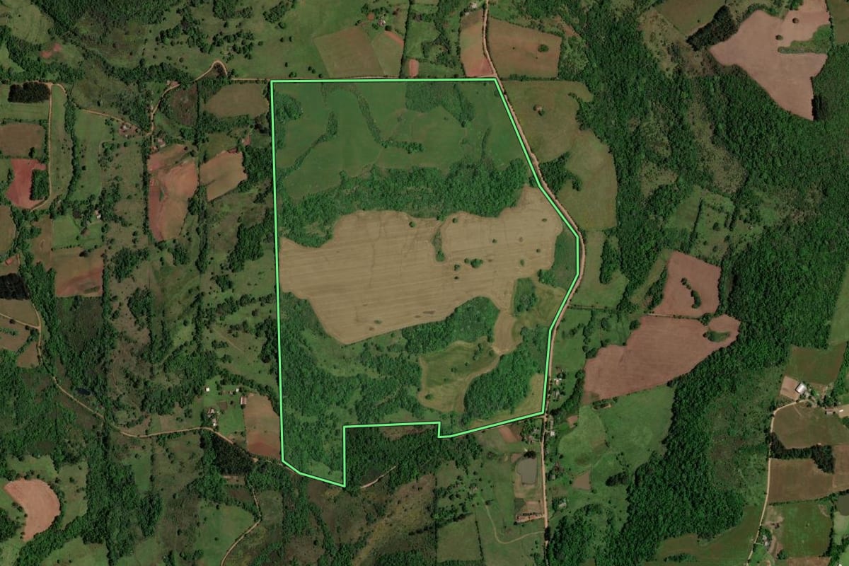 Imagem de satélite do imóvel rural em São Pedro do Sul (RS), com o contorno declarado no CAR desenhado por cima.