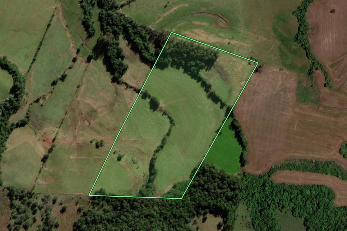 Imagem de satélite do imóvel rural em São Pedro do Sul (RS), com o contorno declarado no CAR desenhado por cima.