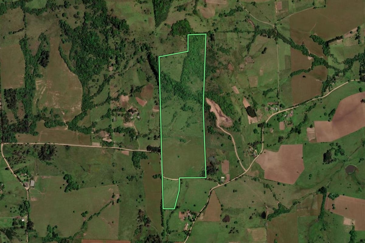Imagem de satélite do imóvel rural em São Pedro do Sul (RS), com o contorno declarado no CAR desenhado por cima.