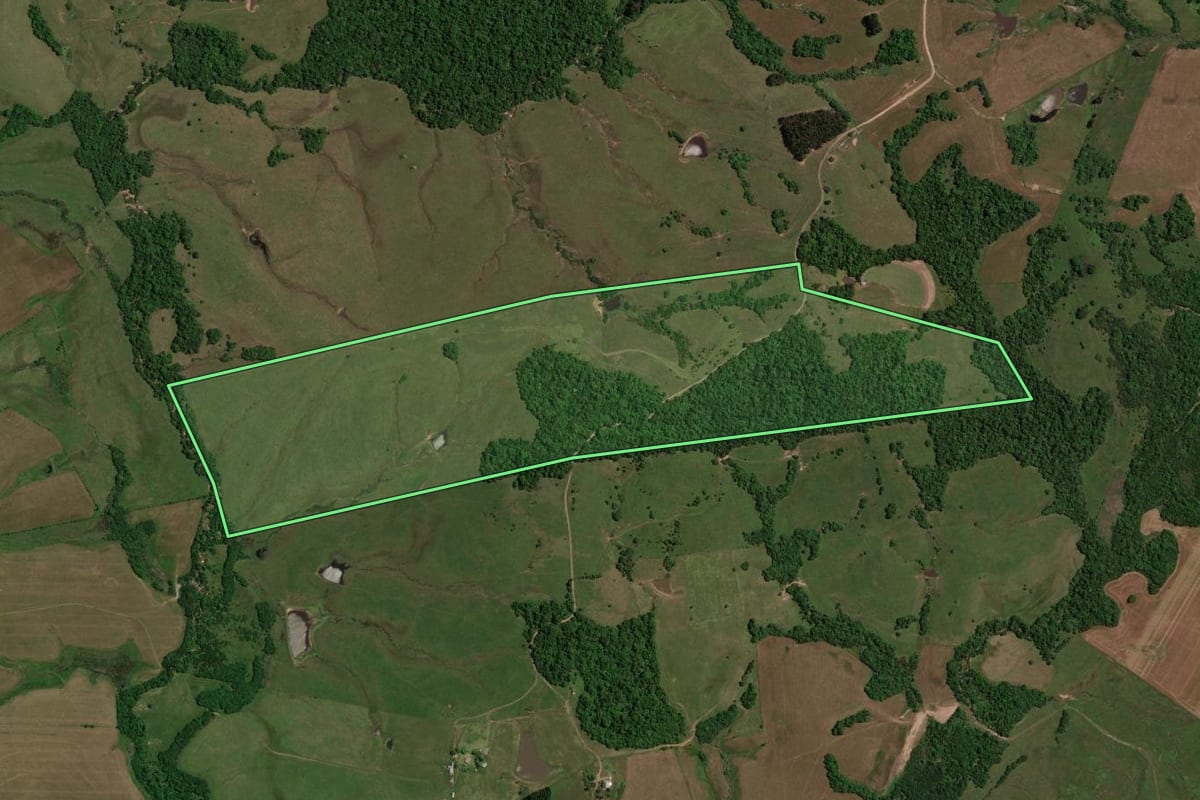 Imagem de satélite do imóvel rural em São Pedro do Sul (RS), com o contorno declarado no CAR desenhado por cima.