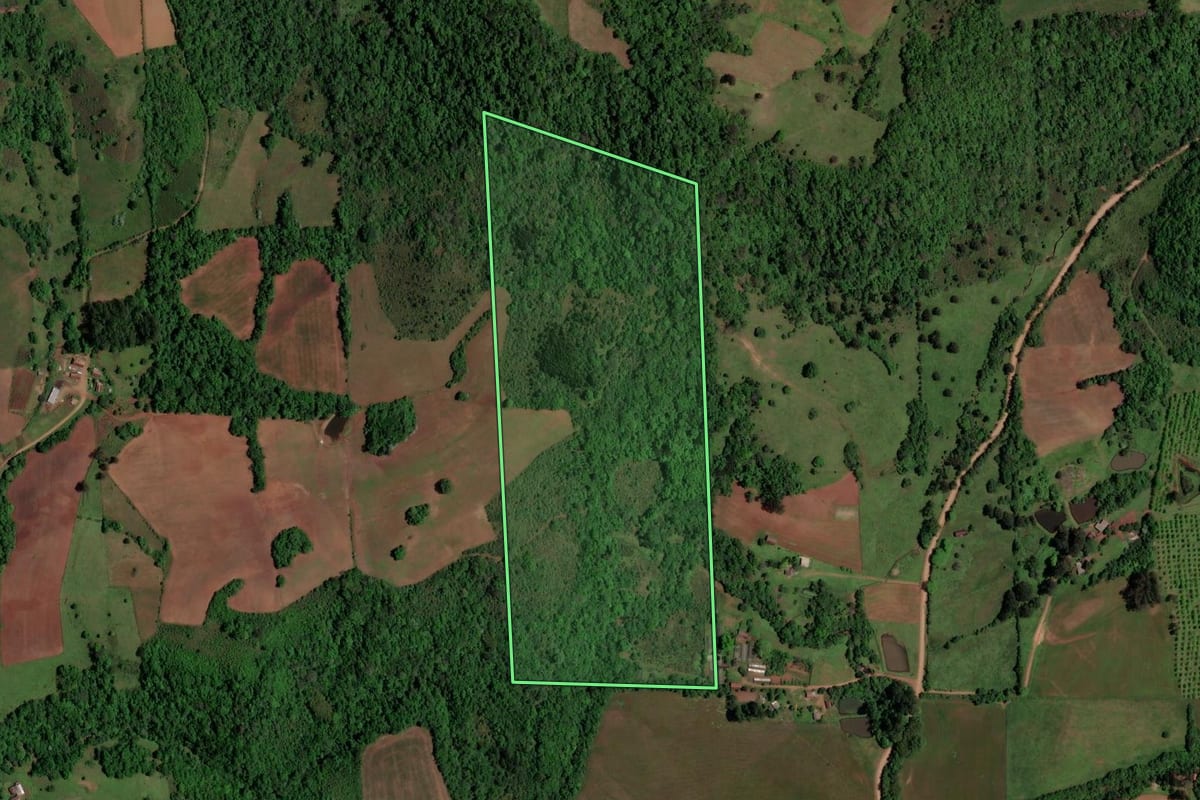 Imagem de satélite do imóvel rural em São Pedro do Sul (RS), com o contorno declarado no CAR desenhado por cima.