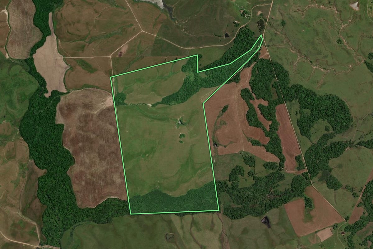 Imagem de satélite do imóvel rural em São Pedro do Sul (RS), com o contorno declarado no CAR desenhado por cima.