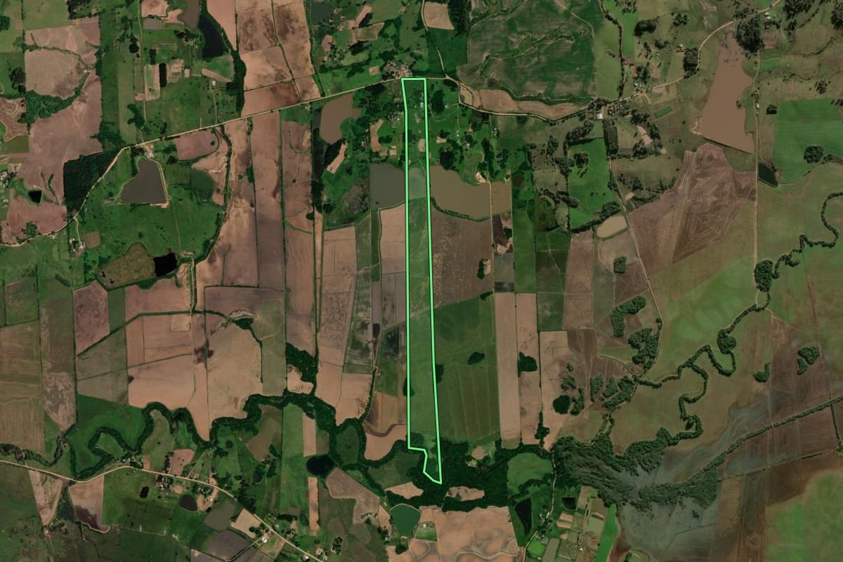 Imagem de satélite do imóvel rural em São Pedro do Sul (RS), com o contorno declarado no CAR desenhado por cima.