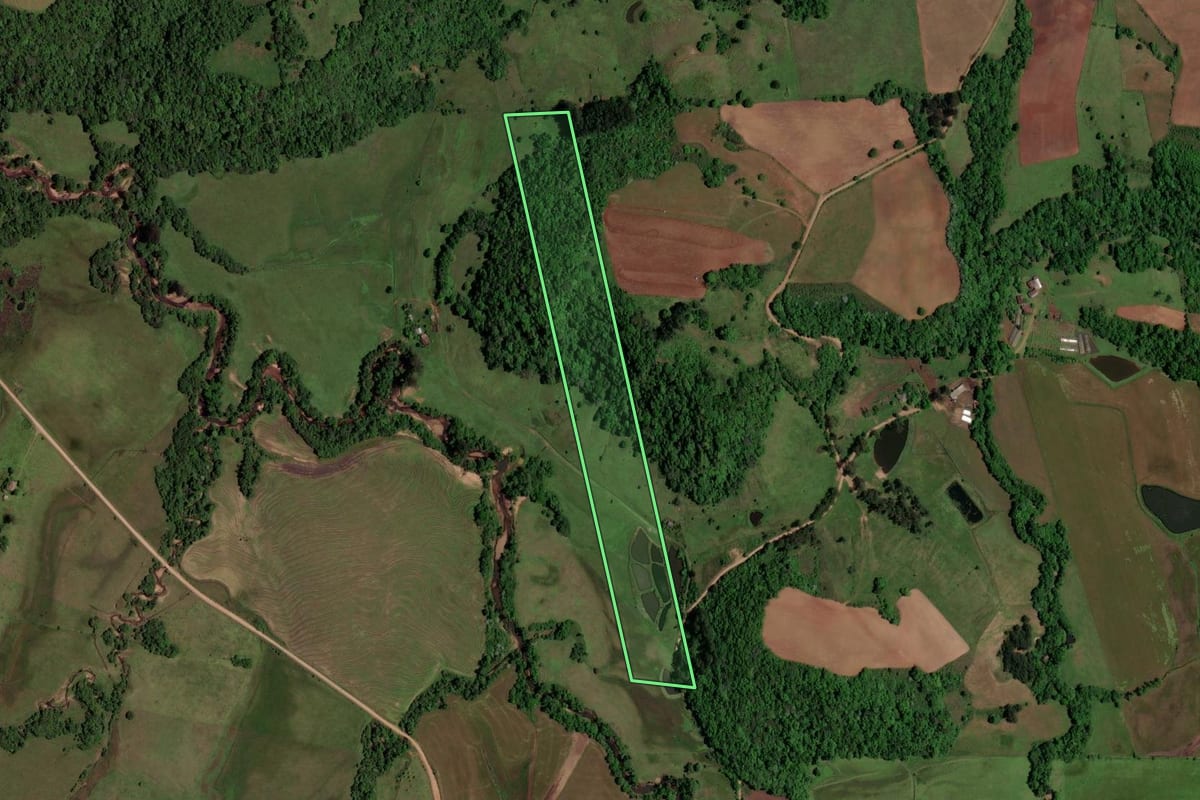 Imagem de satélite do imóvel rural em São Pedro do Sul (RS), com o contorno declarado no CAR desenhado por cima.