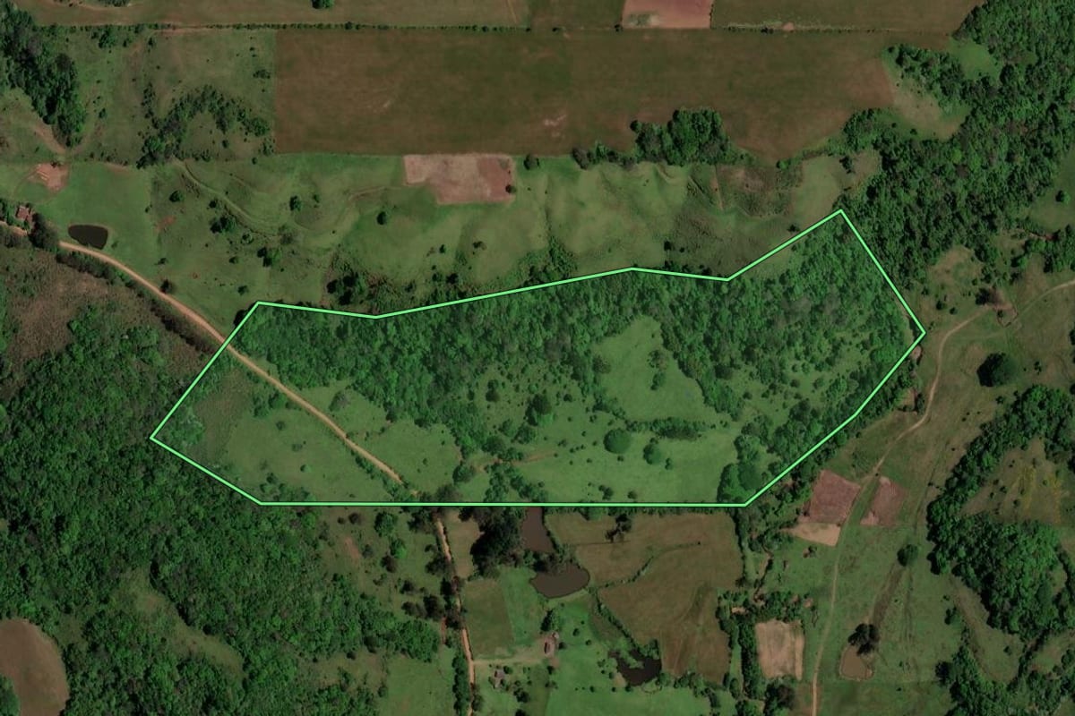 Imagem de satélite do imóvel rural em São Pedro do Sul (RS), com o contorno declarado no CAR desenhado por cima.