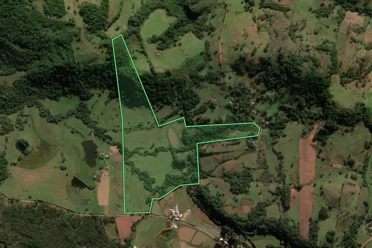 Imagem de satélite do imóvel rural em São Pedro do Sul (RS), com o contorno declarado no CAR desenhado por cima.