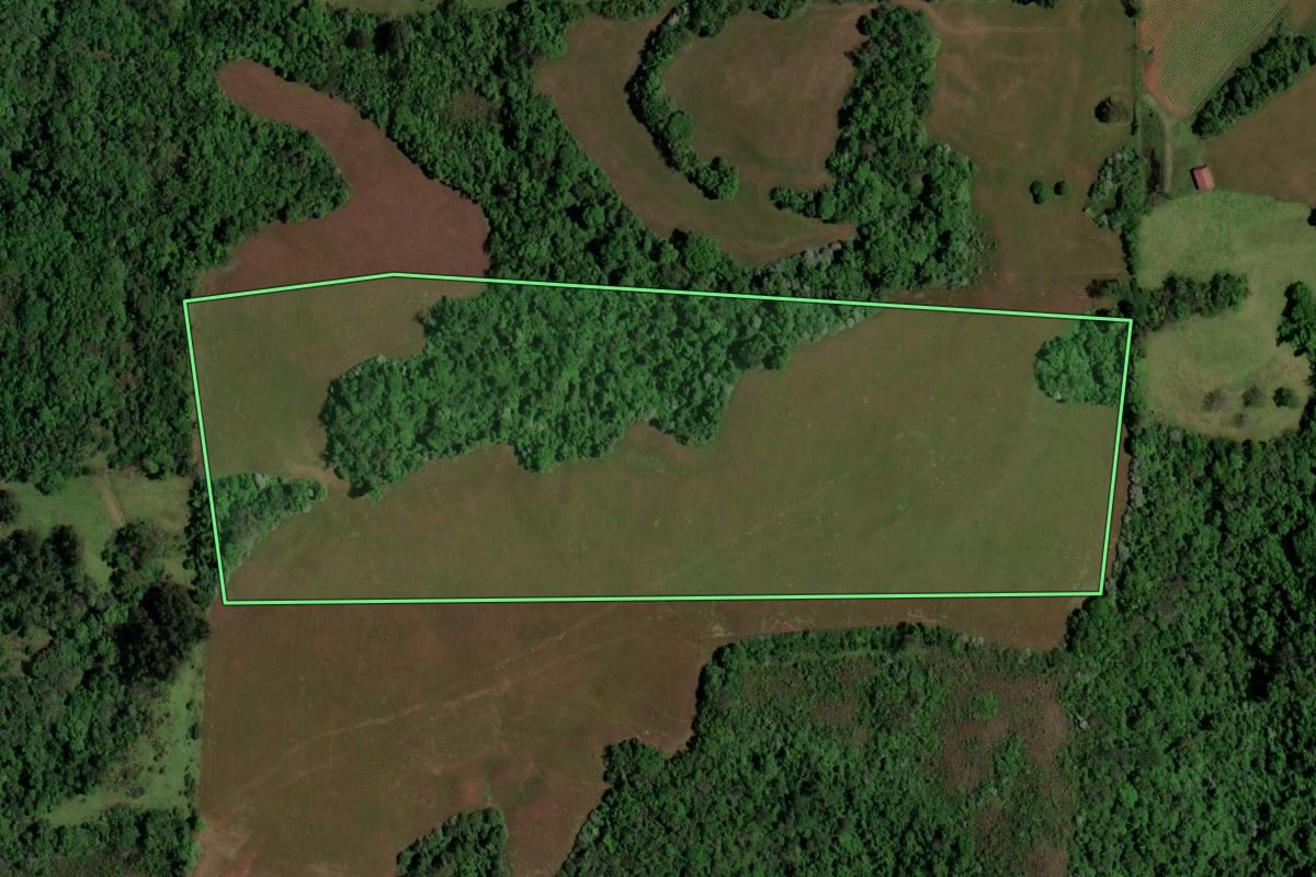Imagem de satélite do imóvel rural em São Pedro do Sul (RS), com o contorno declarado no CAR desenhado por cima.