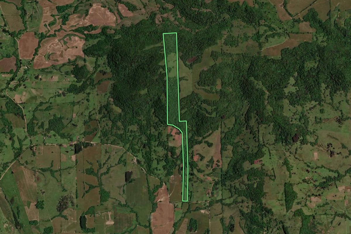 Imagem de satélite do imóvel rural em São Pedro do Sul (RS), com o contorno declarado no CAR desenhado por cima.