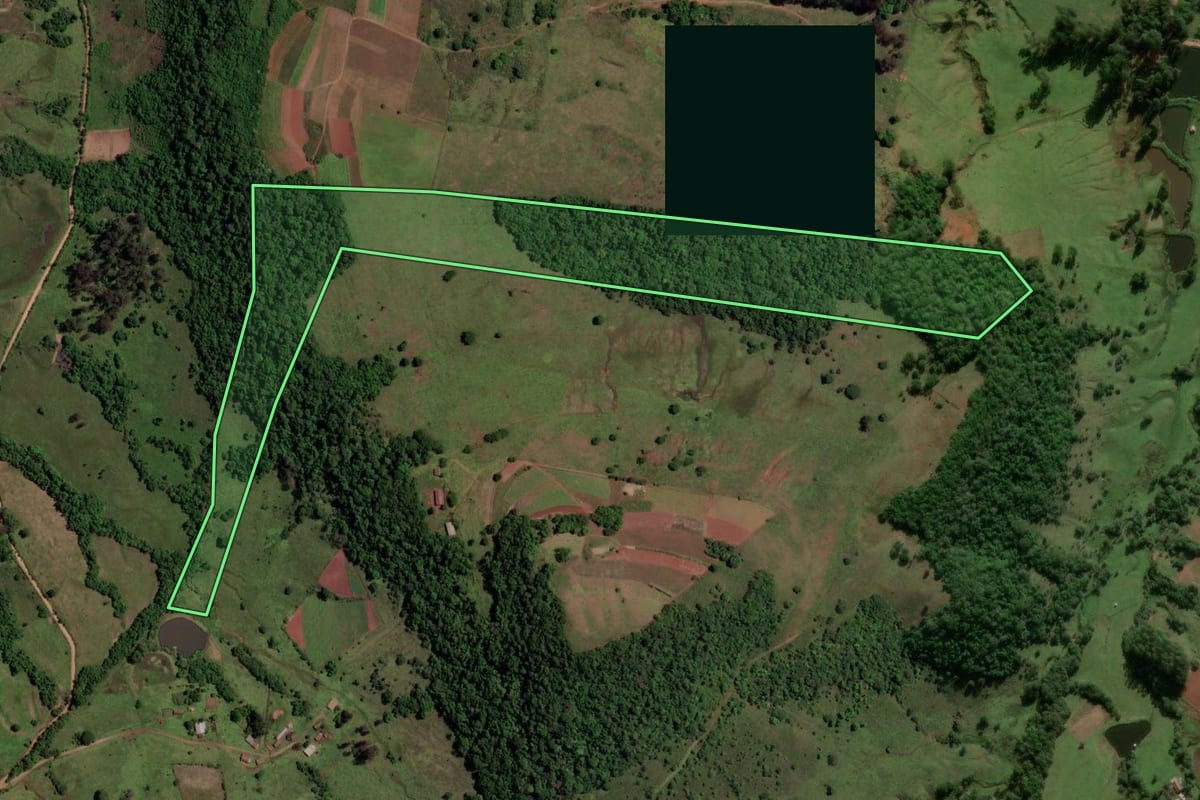 Imagem de satélite do imóvel rural em São Pedro do Sul (RS), com o contorno declarado no CAR desenhado por cima.
