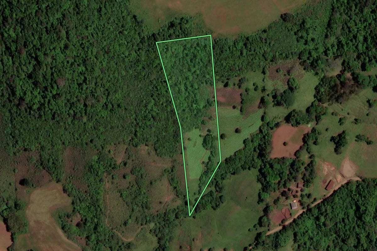 Imagem de satélite do imóvel rural em São Pedro do Sul (RS), com o contorno declarado no CAR desenhado por cima.