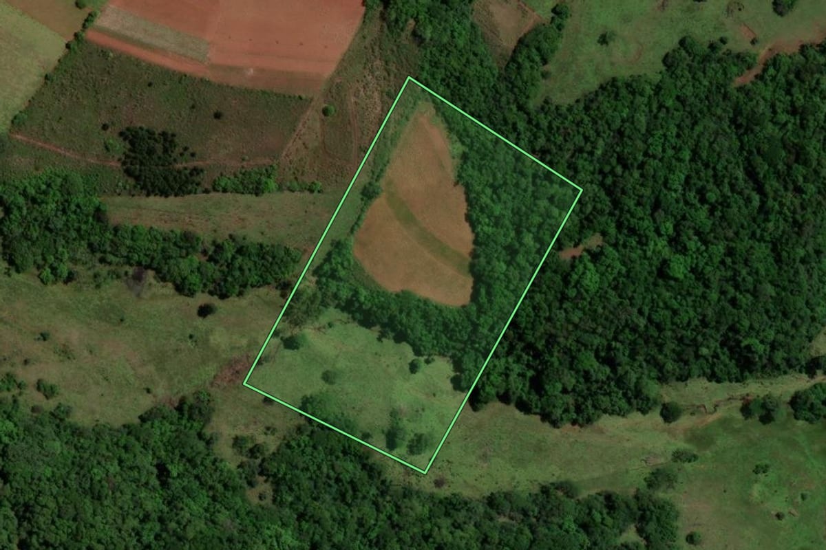 Imagem de satélite do imóvel rural em São Pedro do Sul (RS), com o contorno declarado no CAR desenhado por cima.