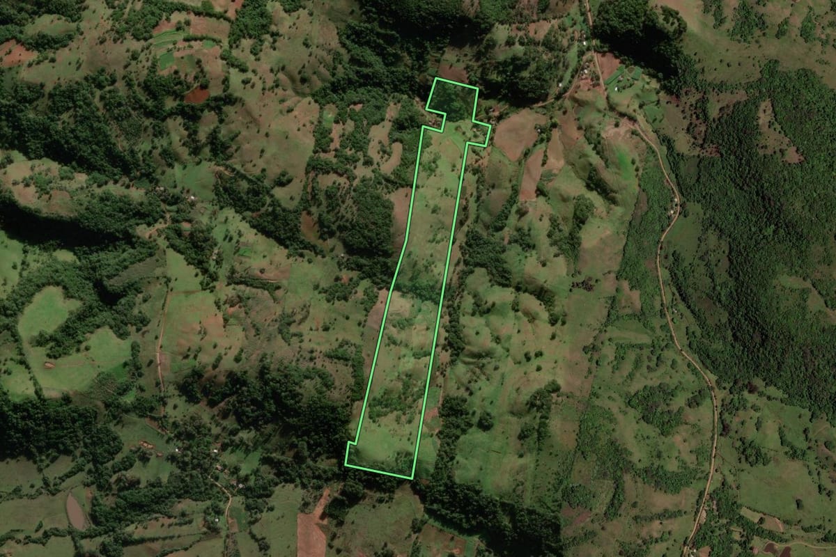 Imagem de satélite do imóvel rural em São Pedro do Sul (RS), com o contorno declarado no CAR desenhado por cima.