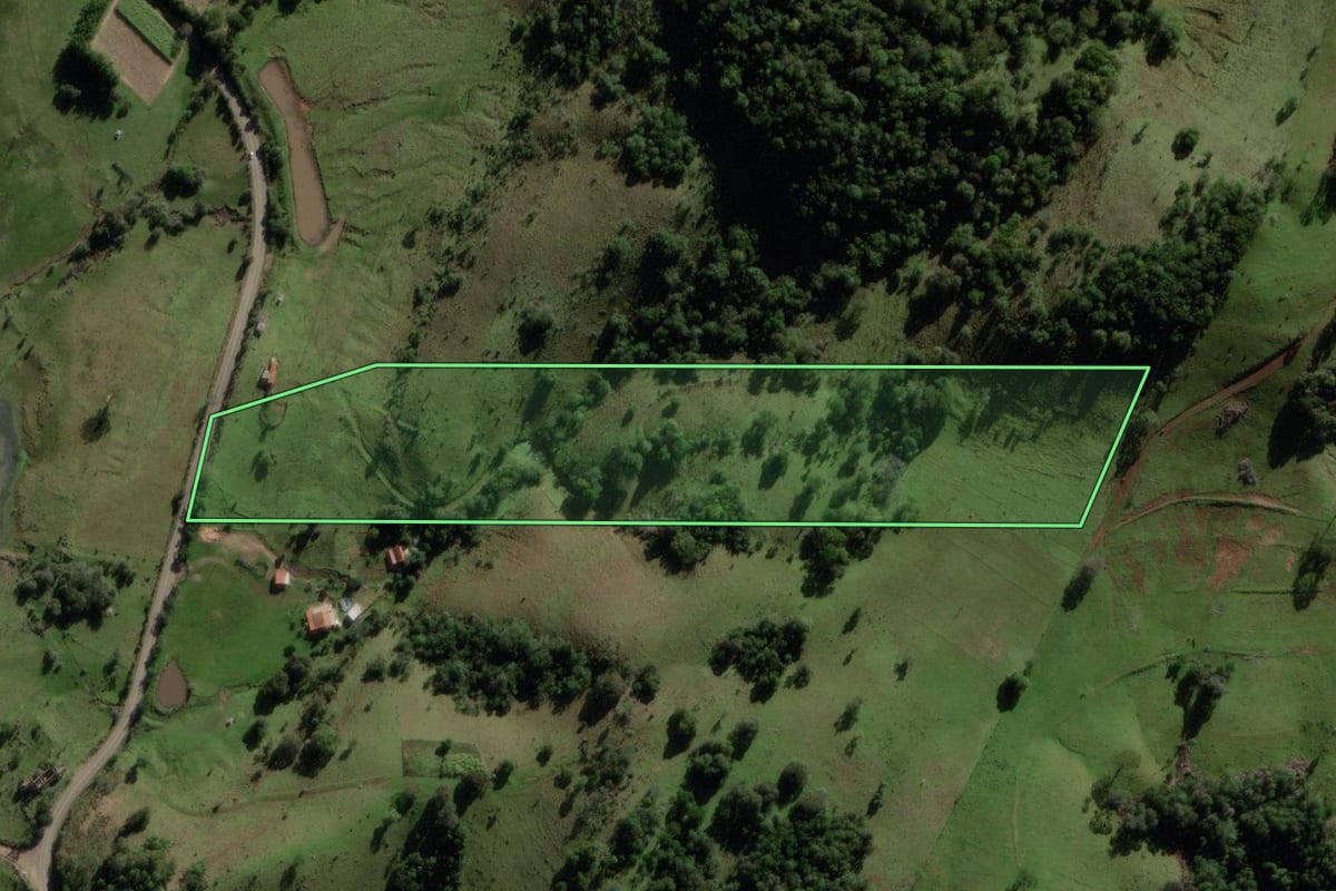 Imagem de satélite do imóvel rural em São Pedro do Sul (RS), com o contorno declarado no CAR desenhado por cima.