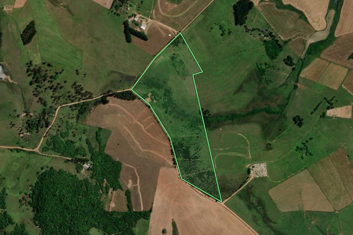 Imagem de satélite do imóvel rural em São Pedro do Sul (RS), com o contorno declarado no CAR desenhado por cima.