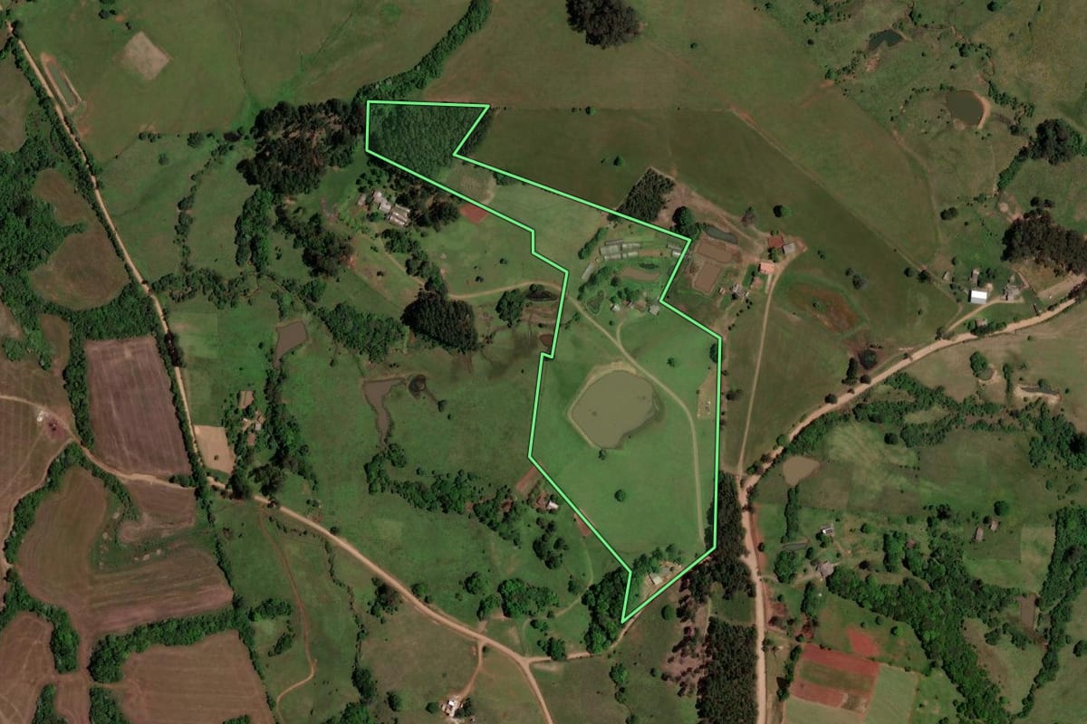 Imagem de satélite do imóvel rural em São Pedro do Sul (RS), com o contorno declarado no CAR desenhado por cima.