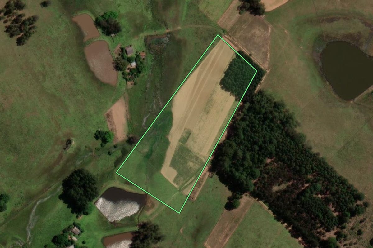 Imagem de satélite do imóvel rural em São Pedro do Sul (RS), com o contorno declarado no CAR desenhado por cima.