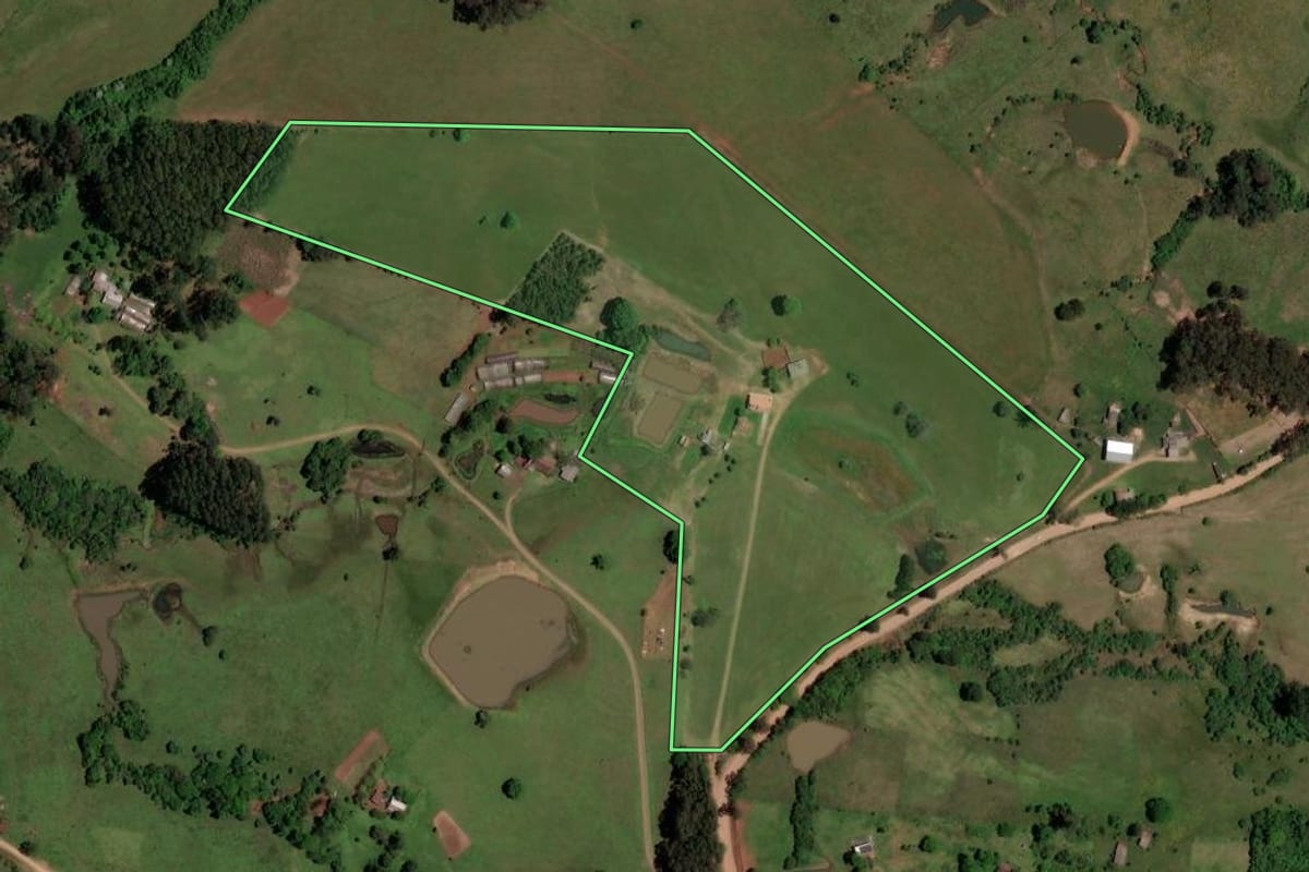 Imagem de satélite do imóvel rural em São Pedro do Sul (RS), com o contorno declarado no CAR desenhado por cima.