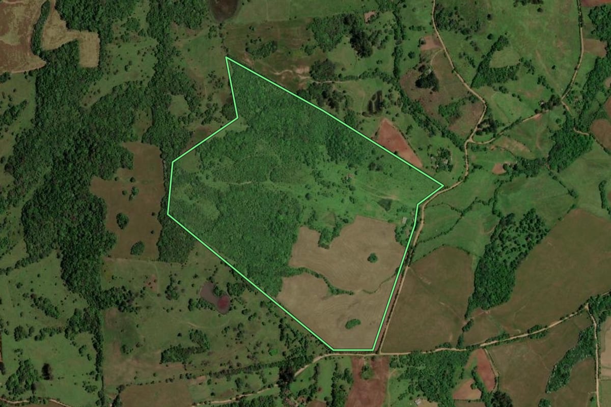 Imagem de satélite do imóvel rural em São Pedro do Sul (RS), com o contorno declarado no CAR desenhado por cima.