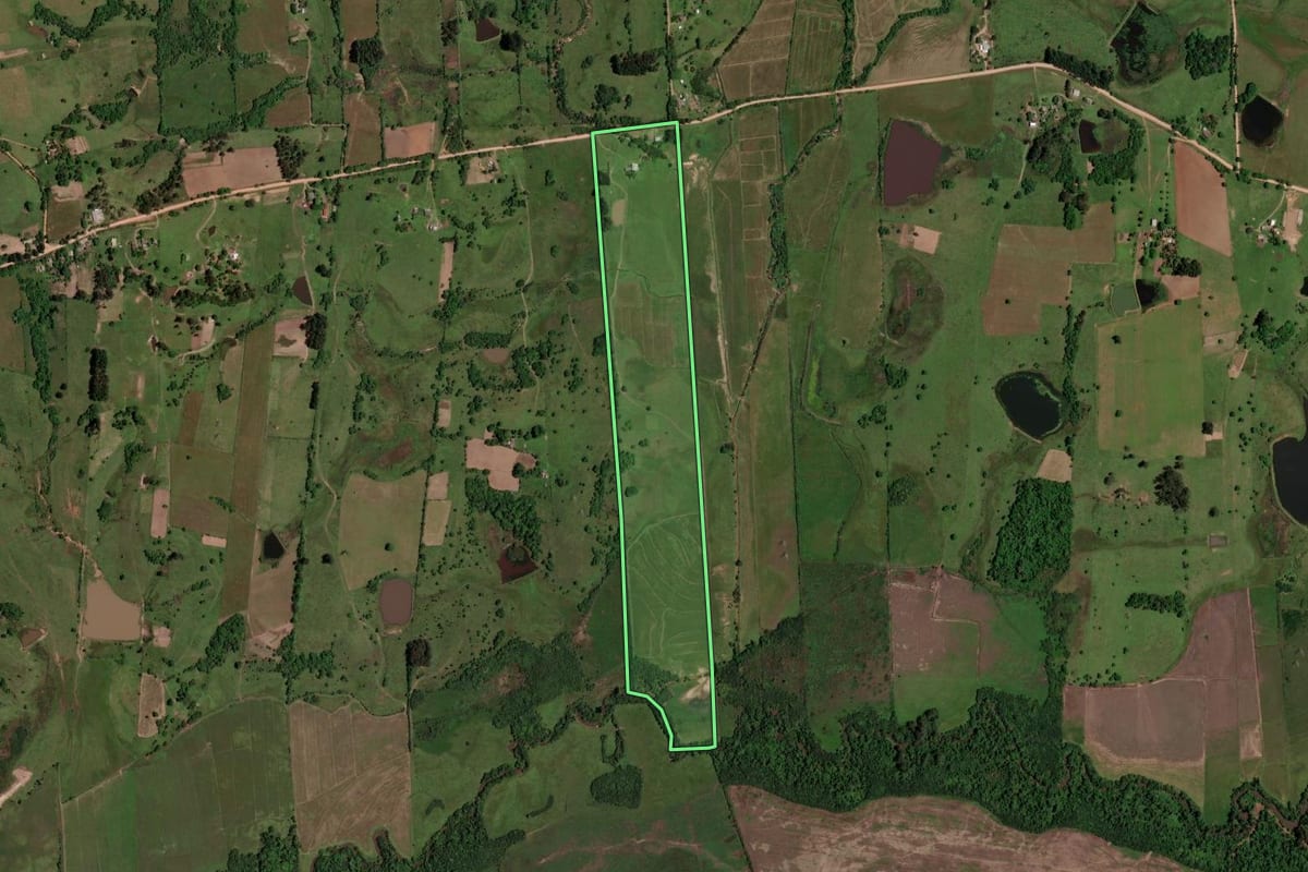 Imagem de satélite do imóvel rural em São Pedro do Sul (RS), com o contorno declarado no CAR desenhado por cima.