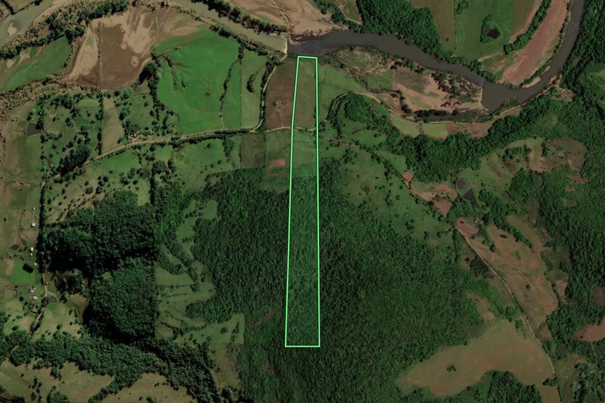 Imagem de satélite do imóvel rural em São Pedro do Sul (RS), com o contorno declarado no CAR desenhado por cima.