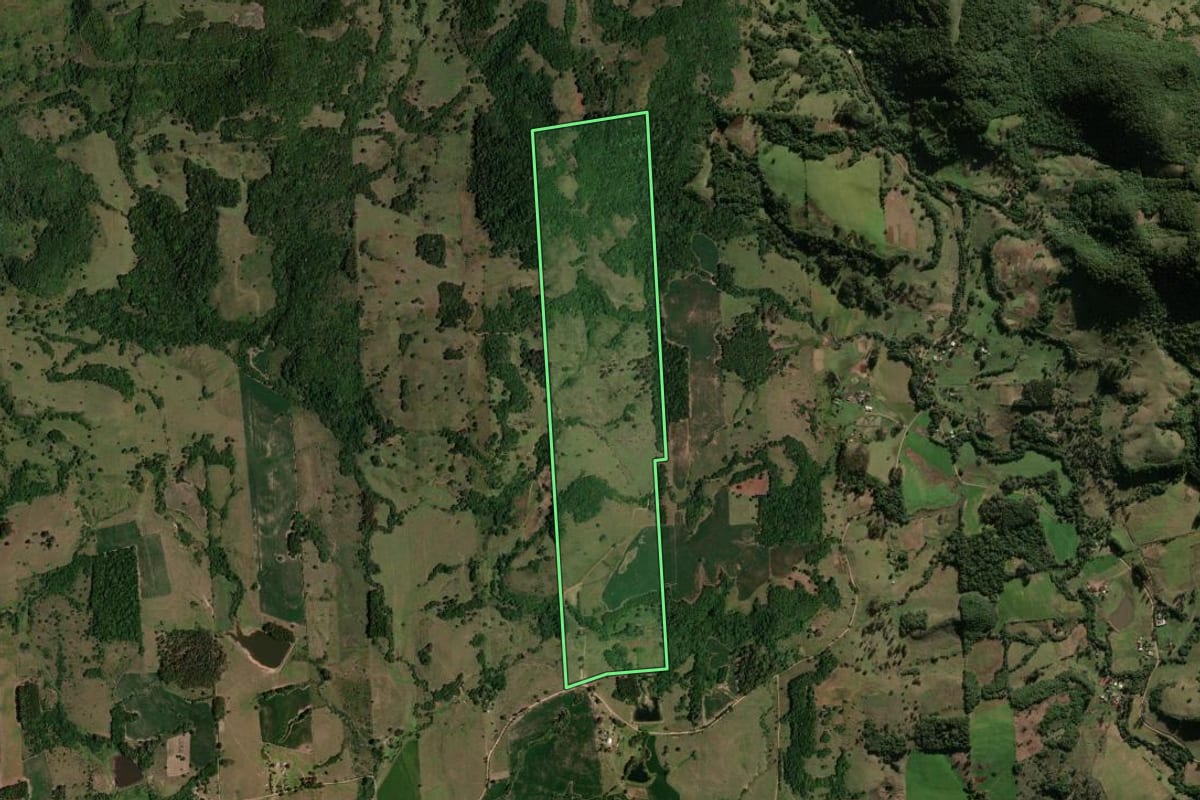 Imagem de satélite do imóvel rural em São Pedro do Sul (RS), com o contorno declarado no CAR desenhado por cima.
