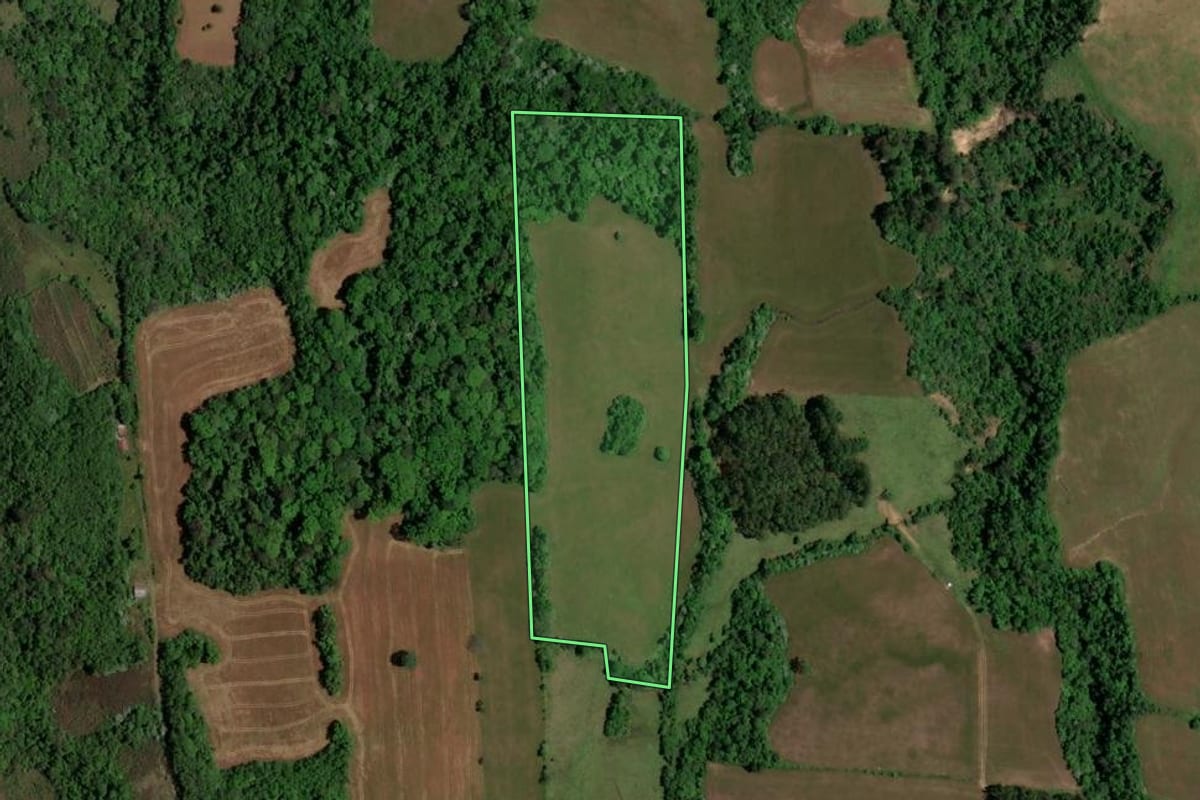 Imagem de satélite do imóvel rural em São Pedro do Sul (RS), com o contorno declarado no CAR desenhado por cima.